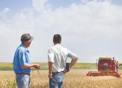 La importancia de la transición generacional en las empresas familiares agropecuarias